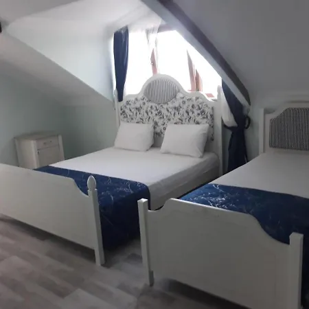 Geyikli Paris